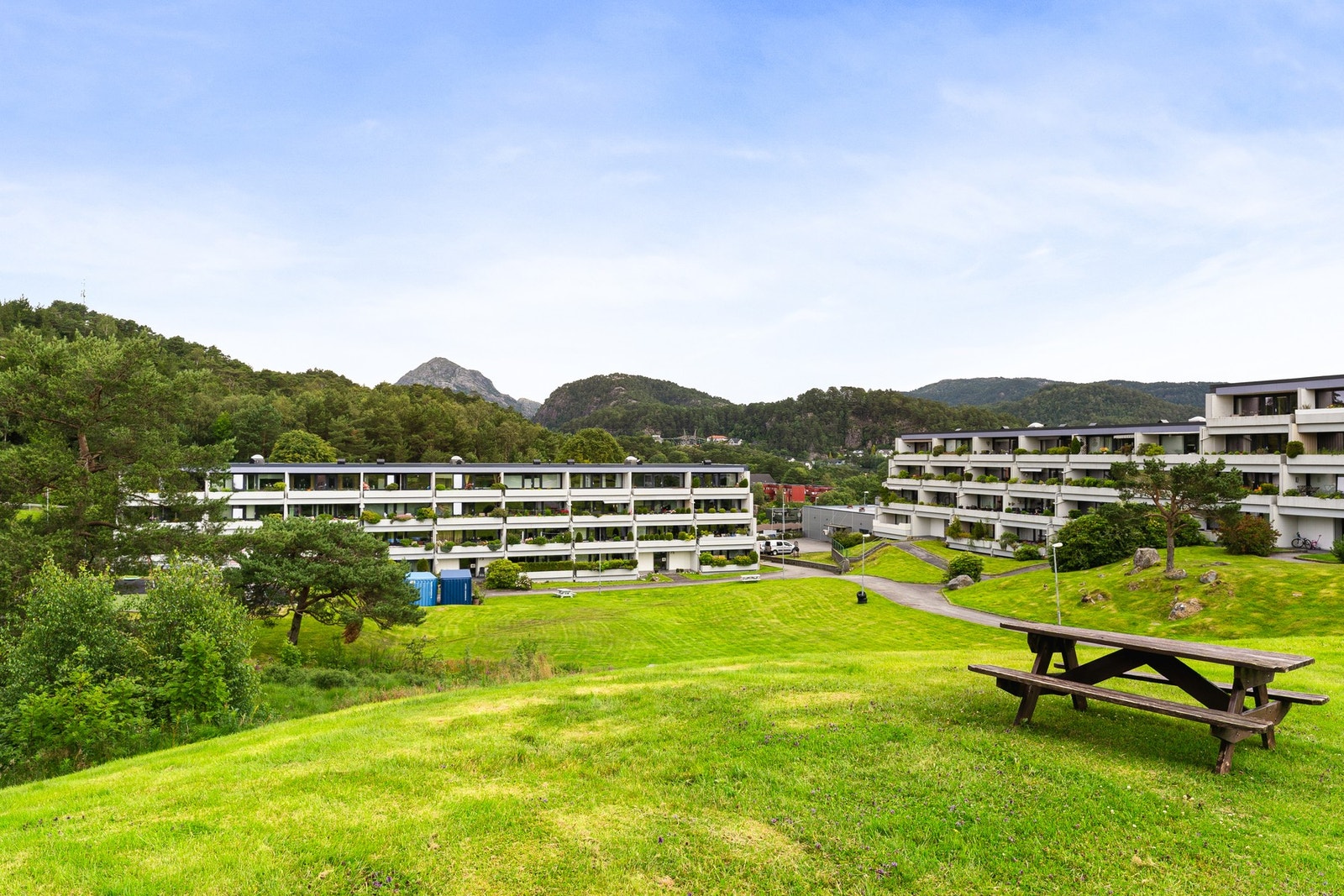 Husk å melde deg på visning! Galleribilde