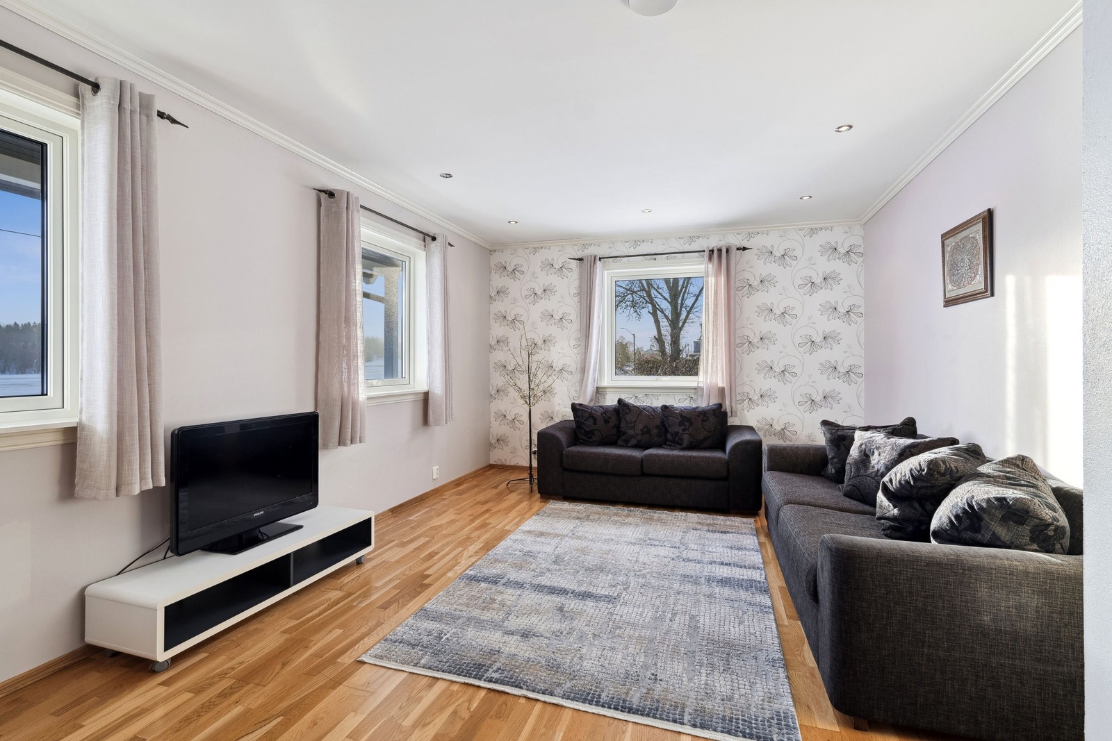 TV stue Galleribilde