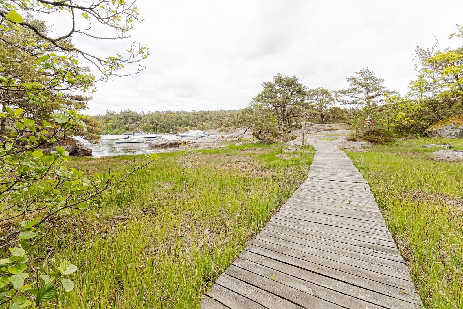 I nærheten er det bade og båtplass Galleribilde