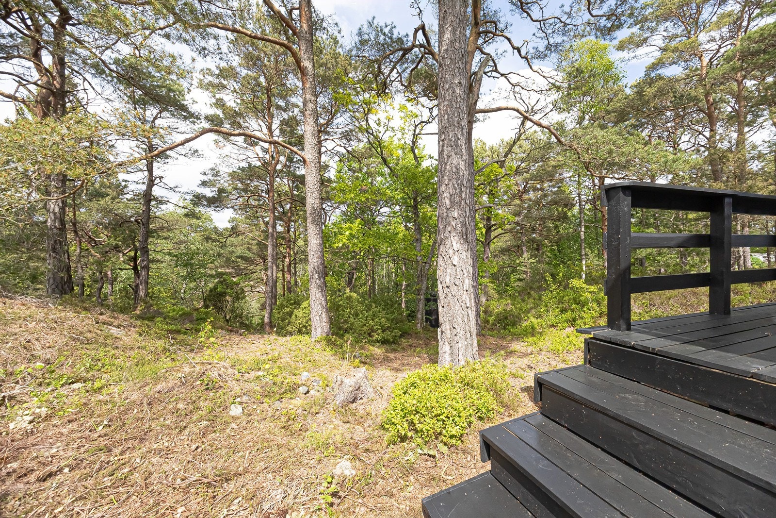 Bak det første treet kan vi skimte utedoen Galleribilde