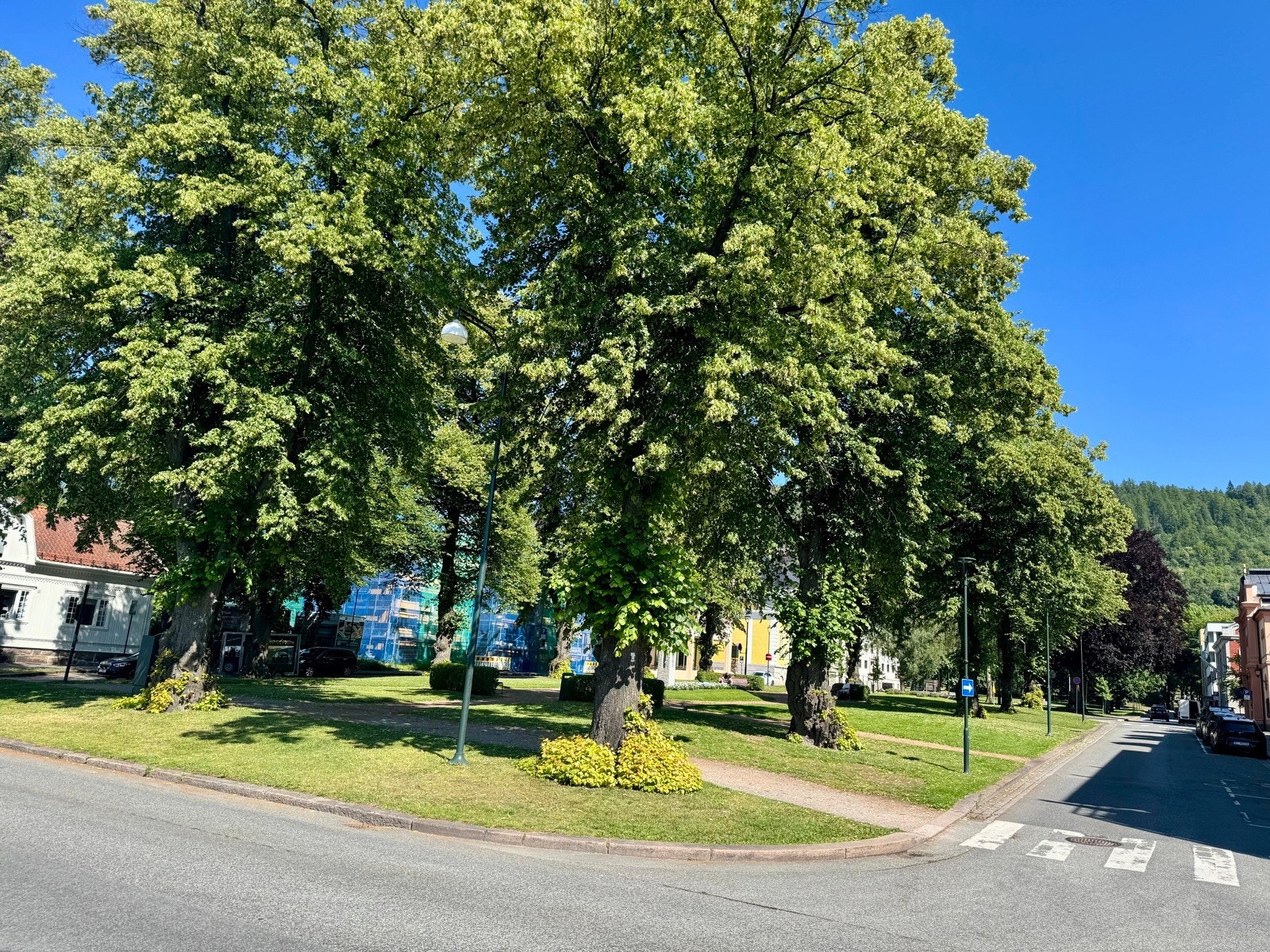 Nærmeste nabo mot vest Galleribilde