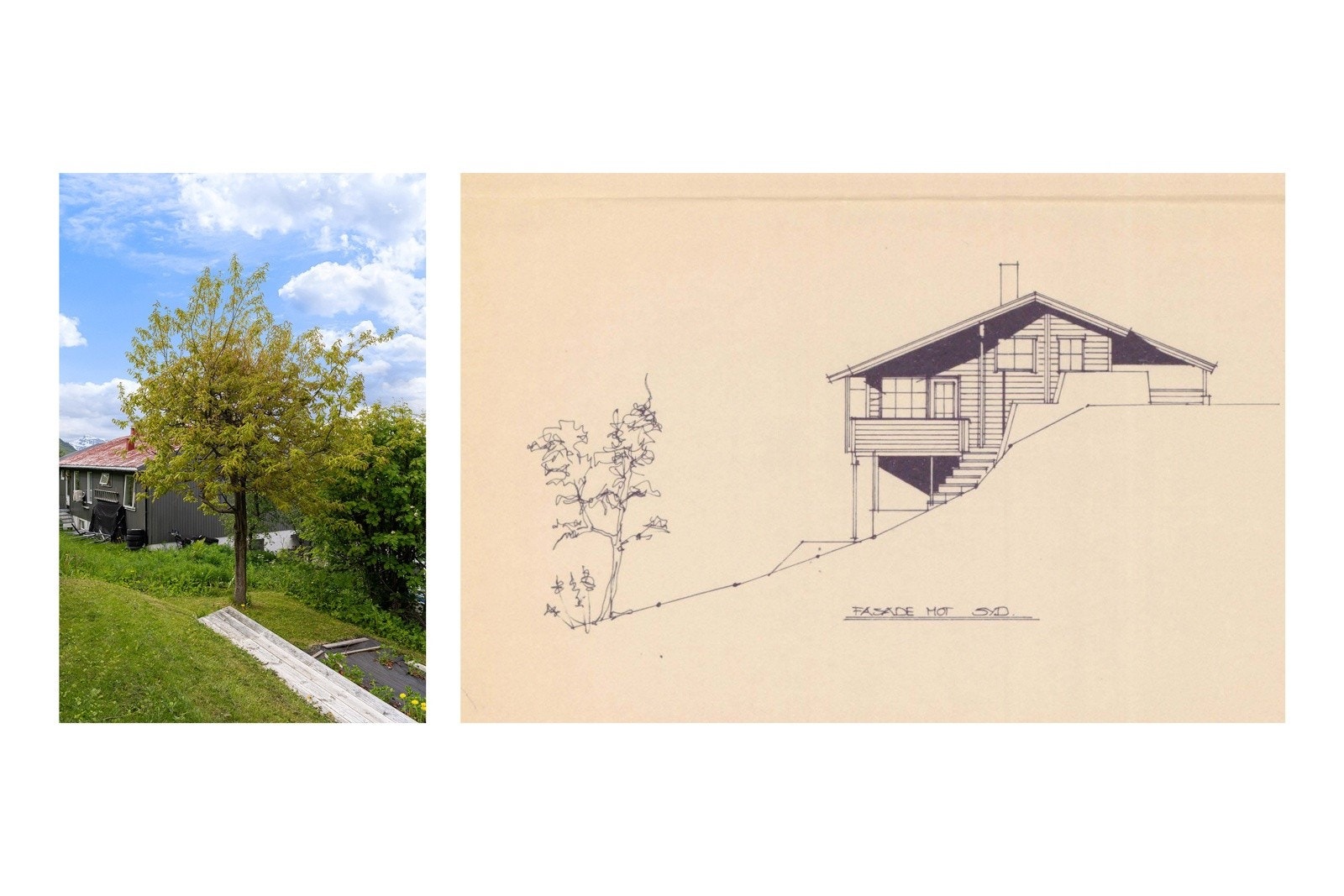 Eiketreet, som arkitekten har fått med på byggetegningene, står fortsatt intakt på eiendommen. Galleribilde