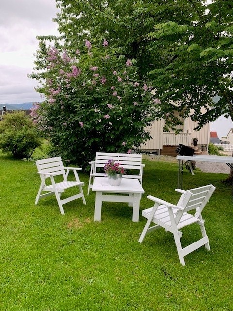 Selgers egne bilder av hagen på sommerstid. Galleribilde