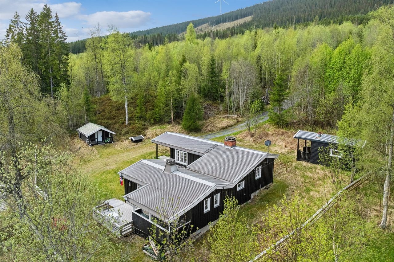 Hovedhytte, anneks, tømmerstue og hundehus. Galleribilde