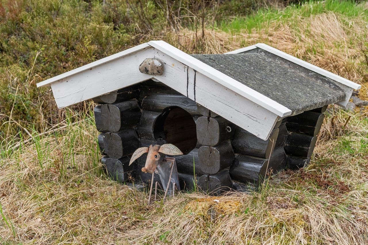 Hundehus Galleribilde