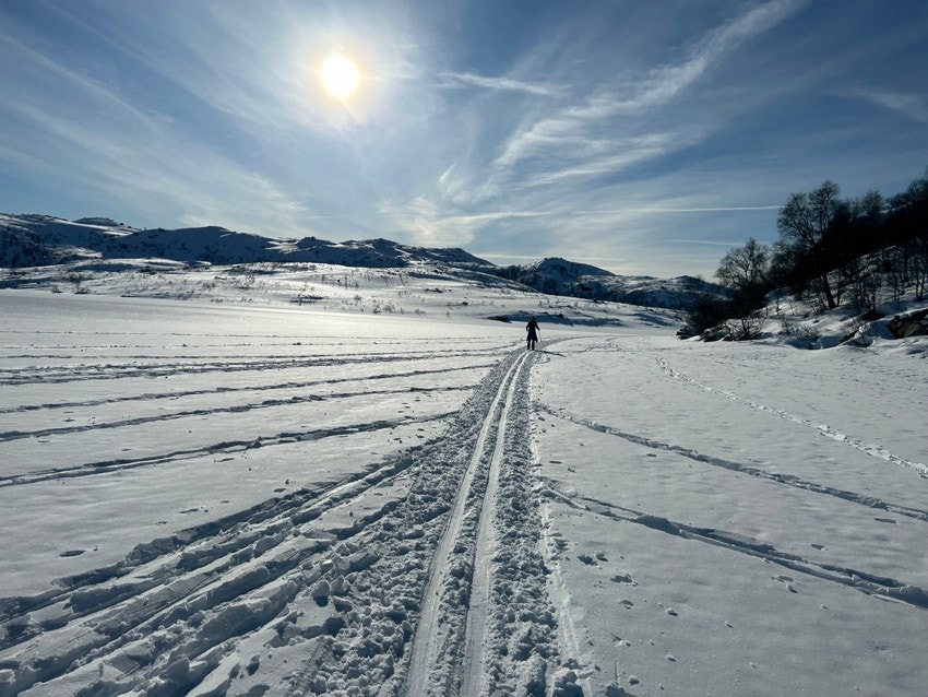 Gode turmuligheter på langrennsski om du vil i opptråkket løype eller ta fjellskien og gå solo. Galleribilde