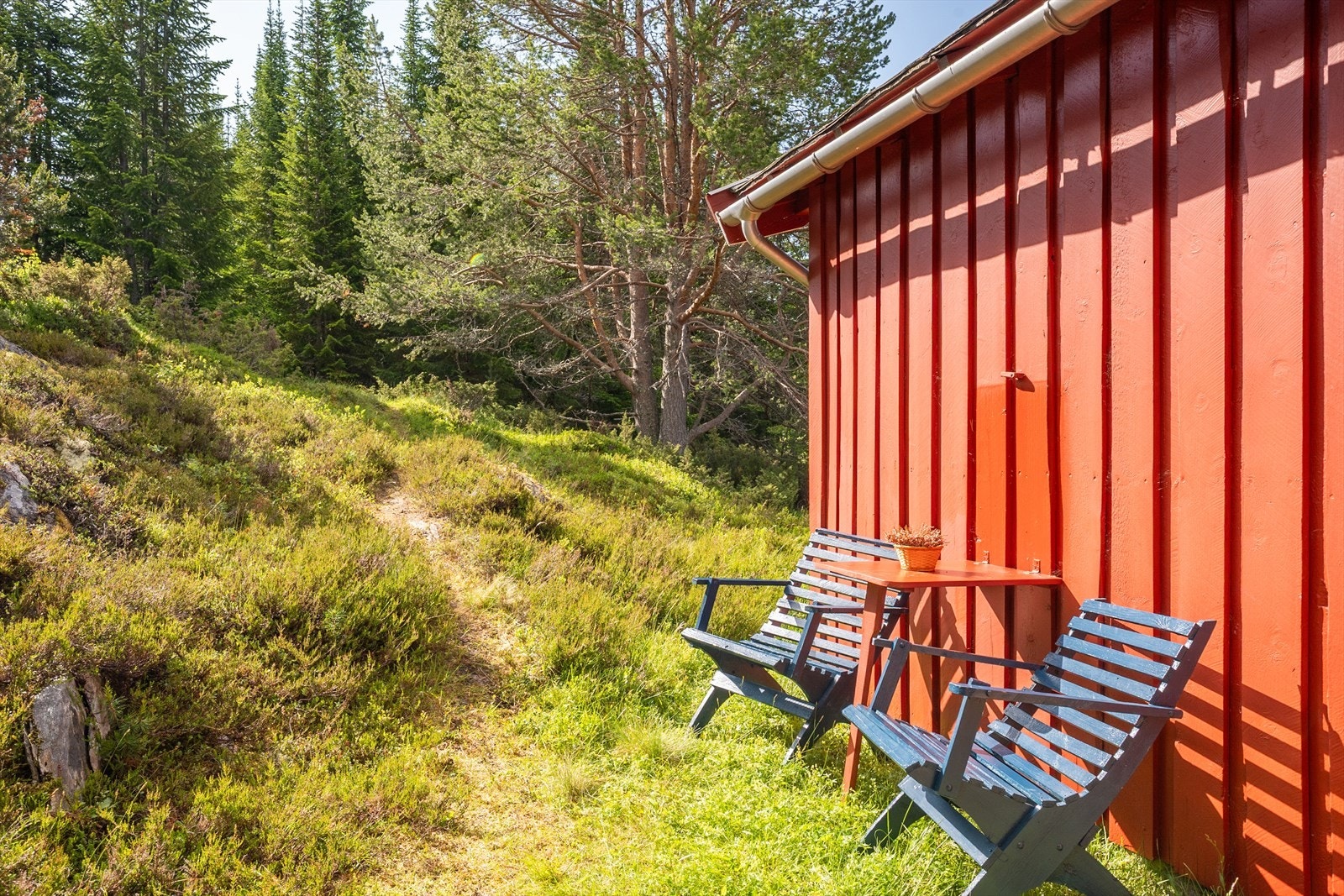 Fint i solveggen. Galleribilde