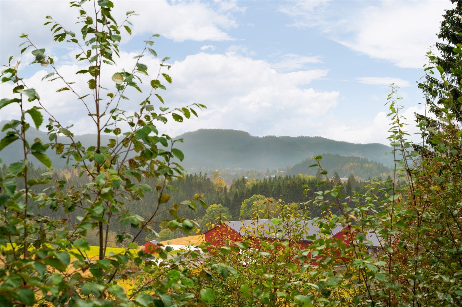 Fra tomta kan man forvente seg naturskjønn og vidstrakt utsikt. Galleribilde