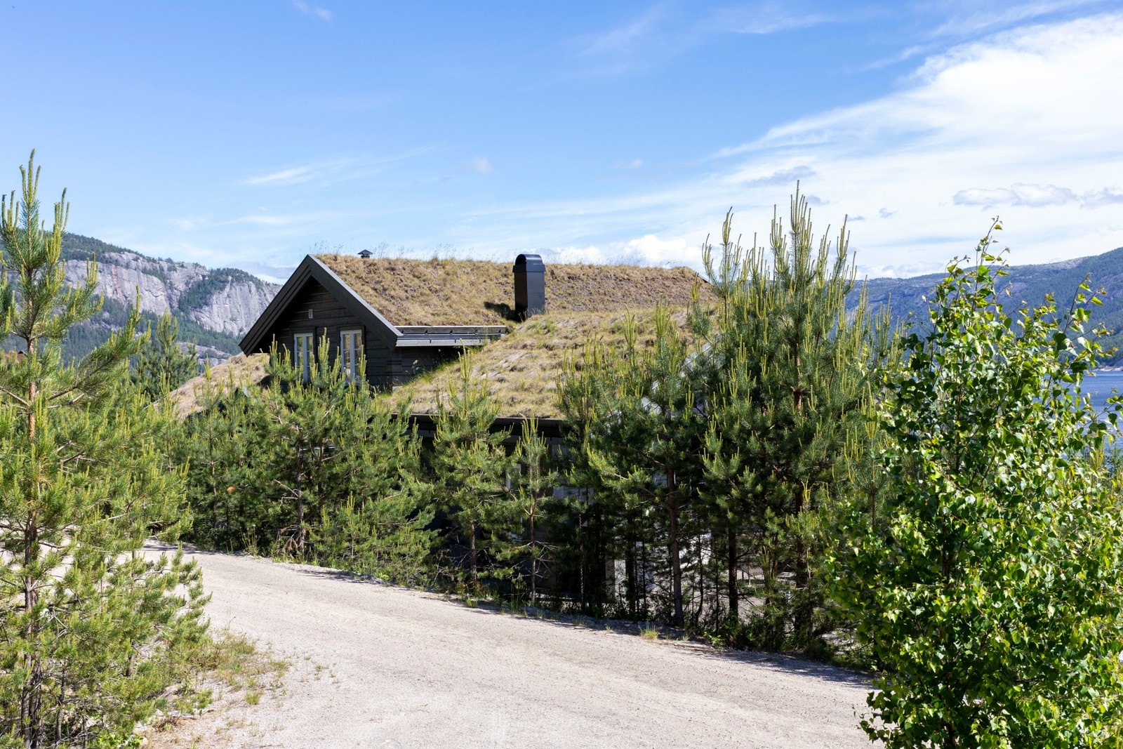 Bilvei helt frem. Galleribilde