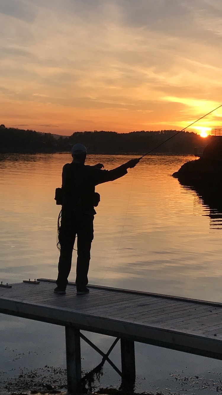 Solnedgang ved sommeren, fanget av selgerens eget kamera Galleribilde