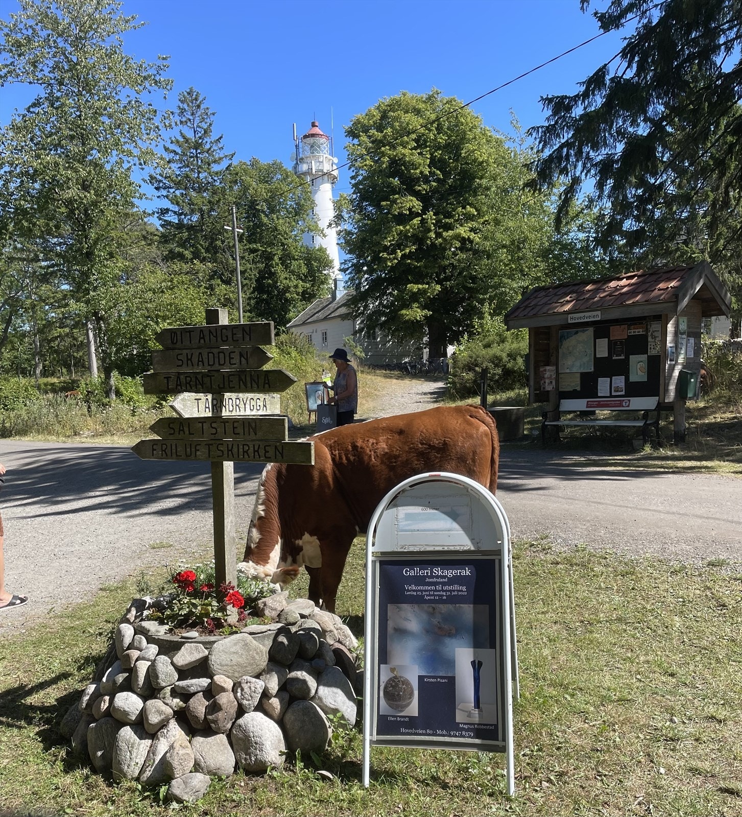 Solrike sommerdager fanget av selgerens eget kamera fra Jomfruland Galleribilde