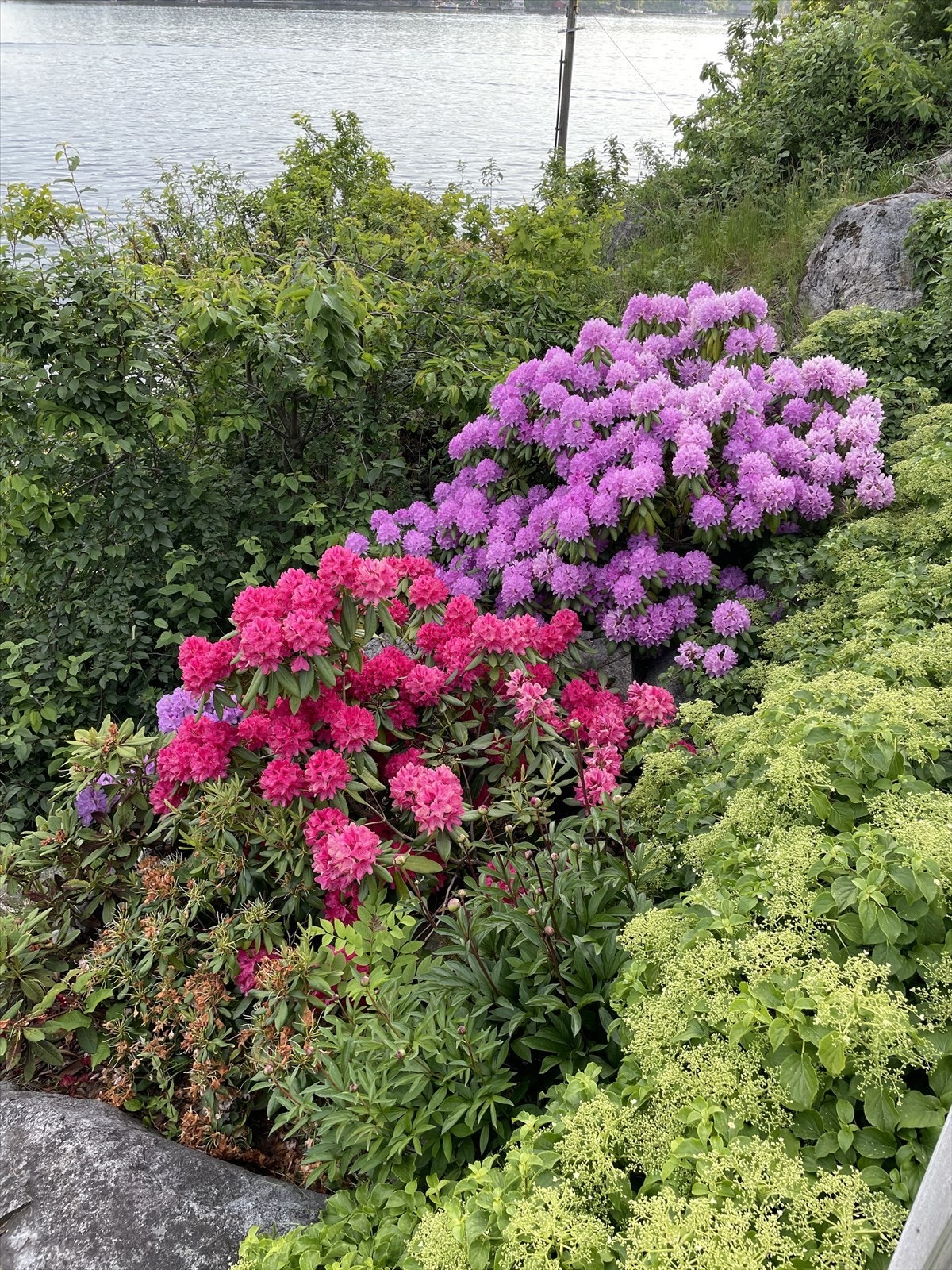 Solrike sommerdager fanget av selgerens eget kamera! Galleribilde