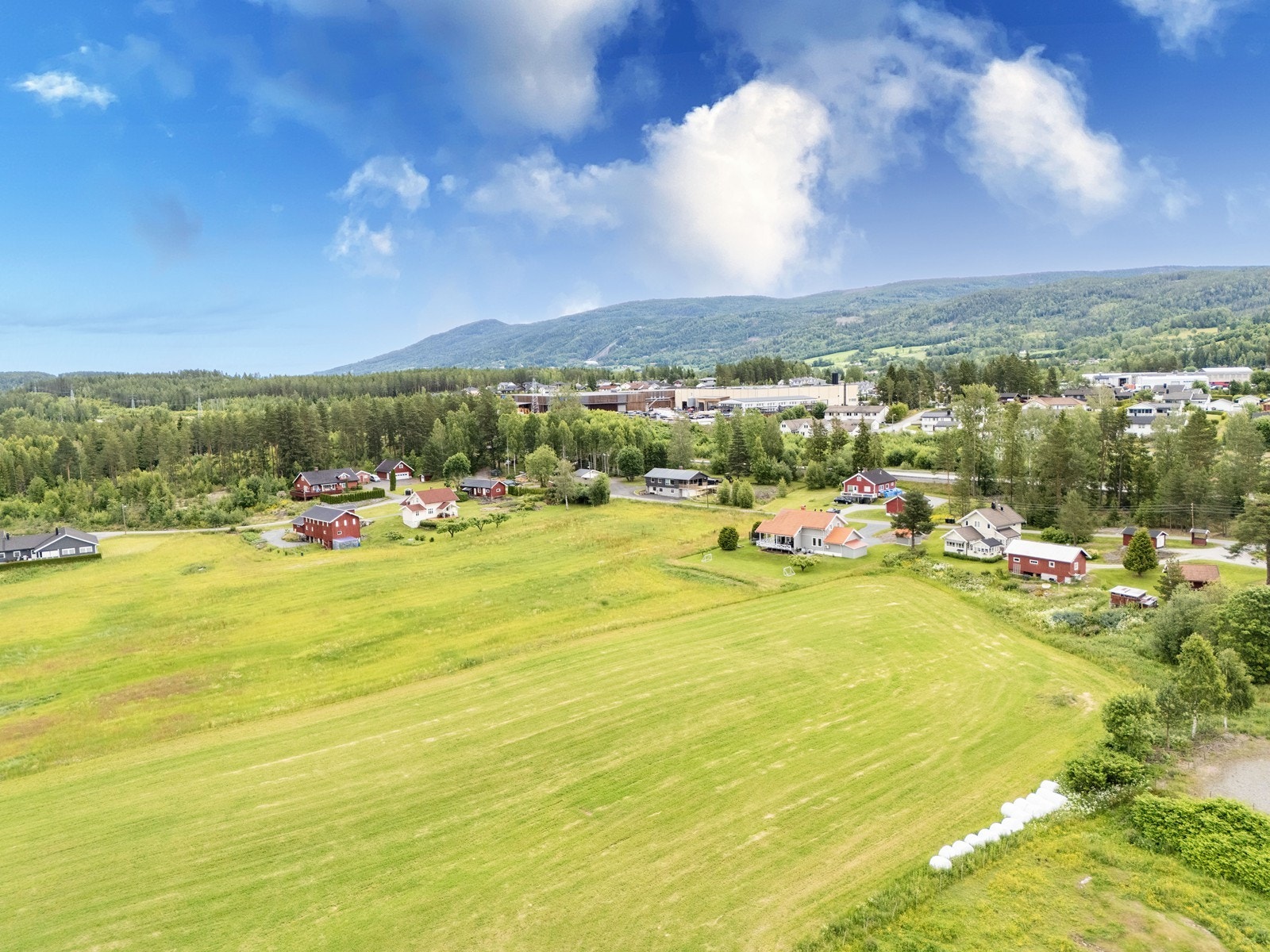 Velkommen til en hyggelig visning! Galleribilde