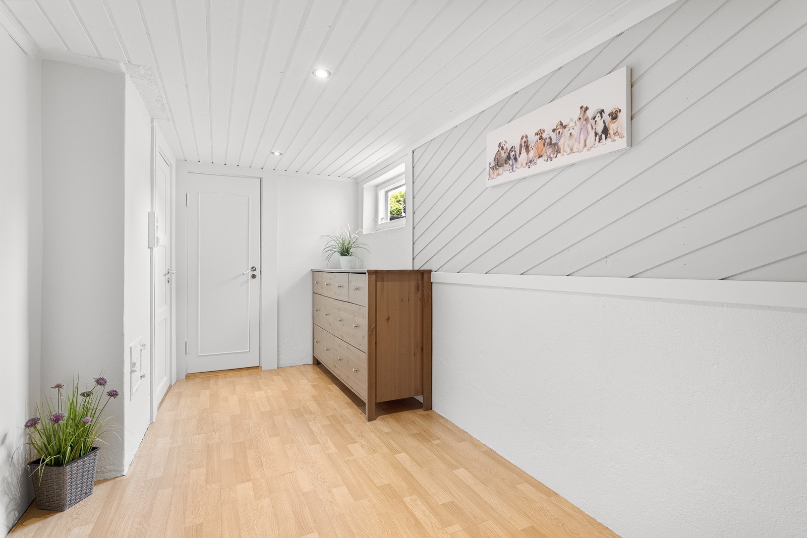 Velkommen ned i kjelleren! Galleribilde