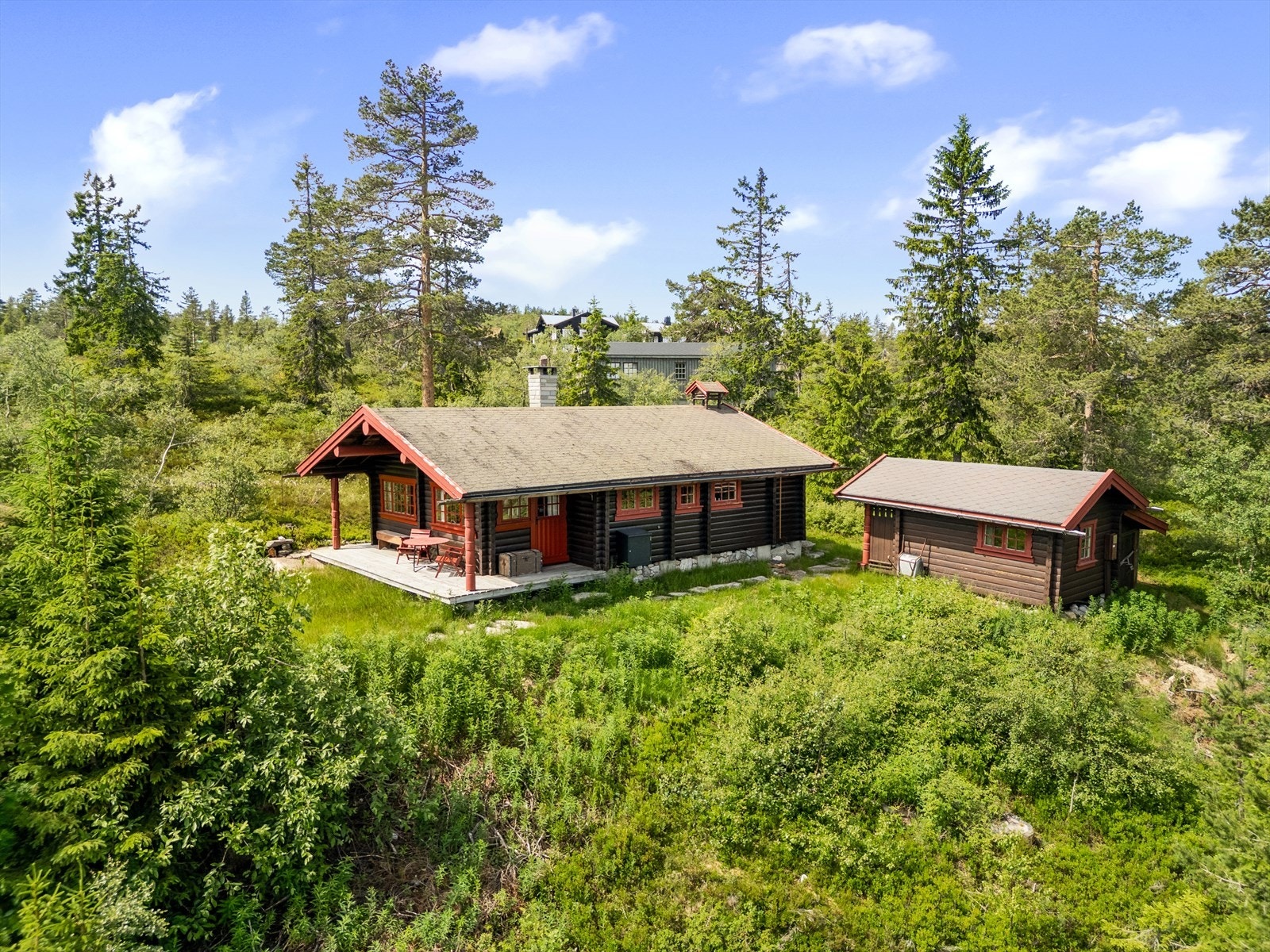 Velkommen til NIpetovegen 179! Galleribilde