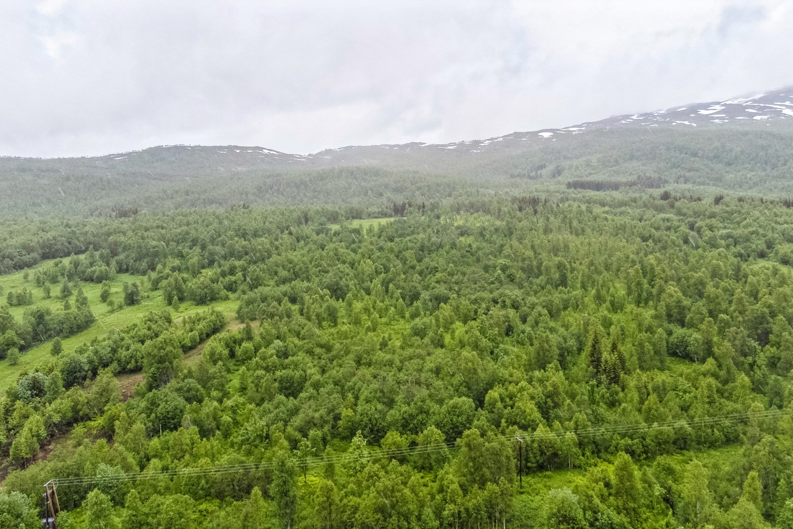 Area Galleribilde