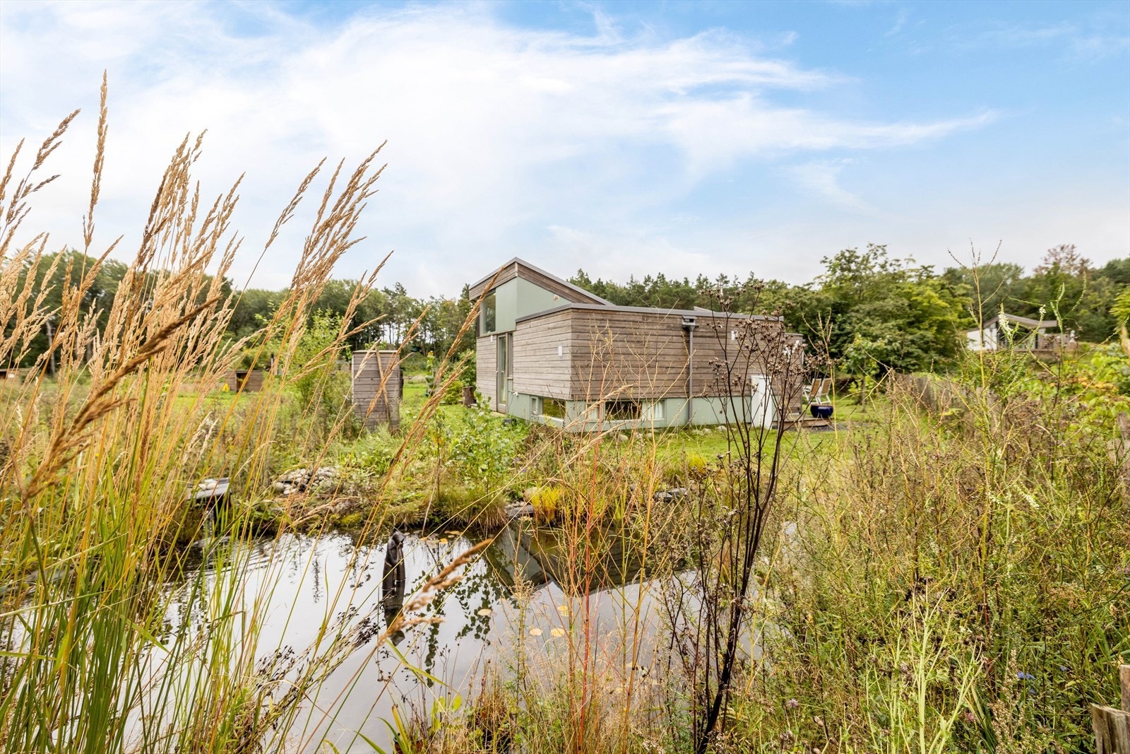 Eier har etablert en koselig dam hvor det er fisker. Galleribilde