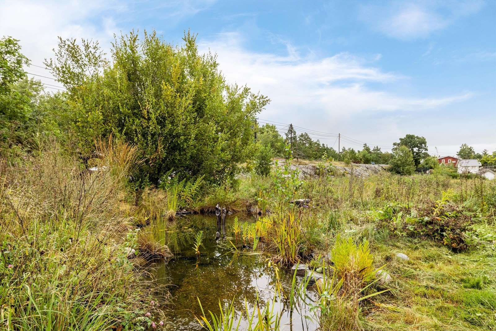 Eier opplyser at det er fort gjort å skifte vann i dammen Galleribilde