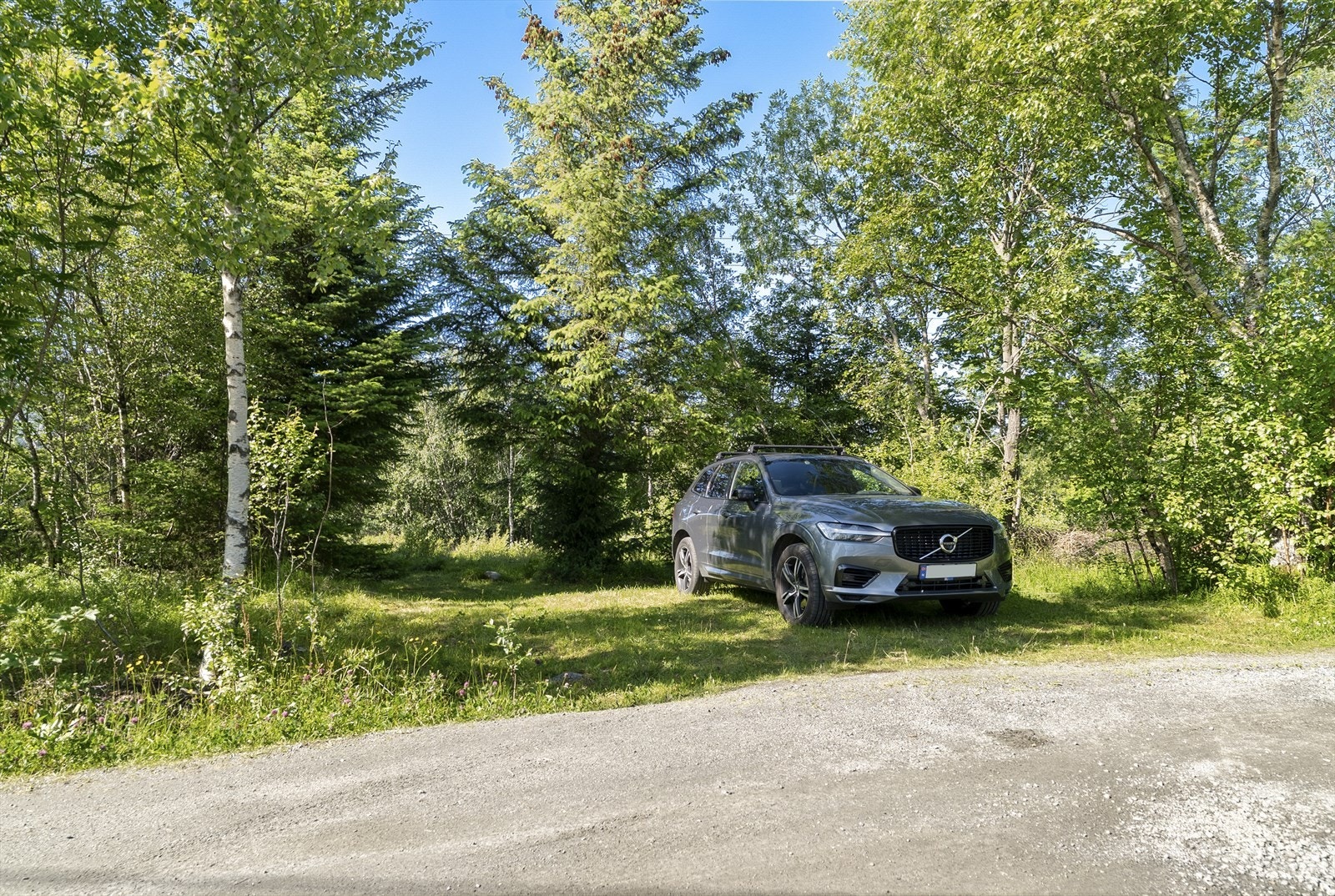 Parkering ved vei og kort ankomst sti til hytten. Galleribilde