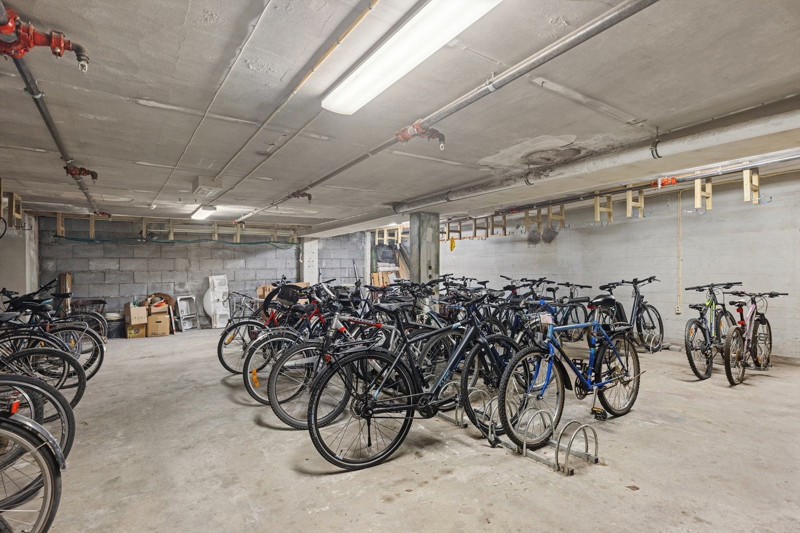 Sykkelbod. Galleribilde