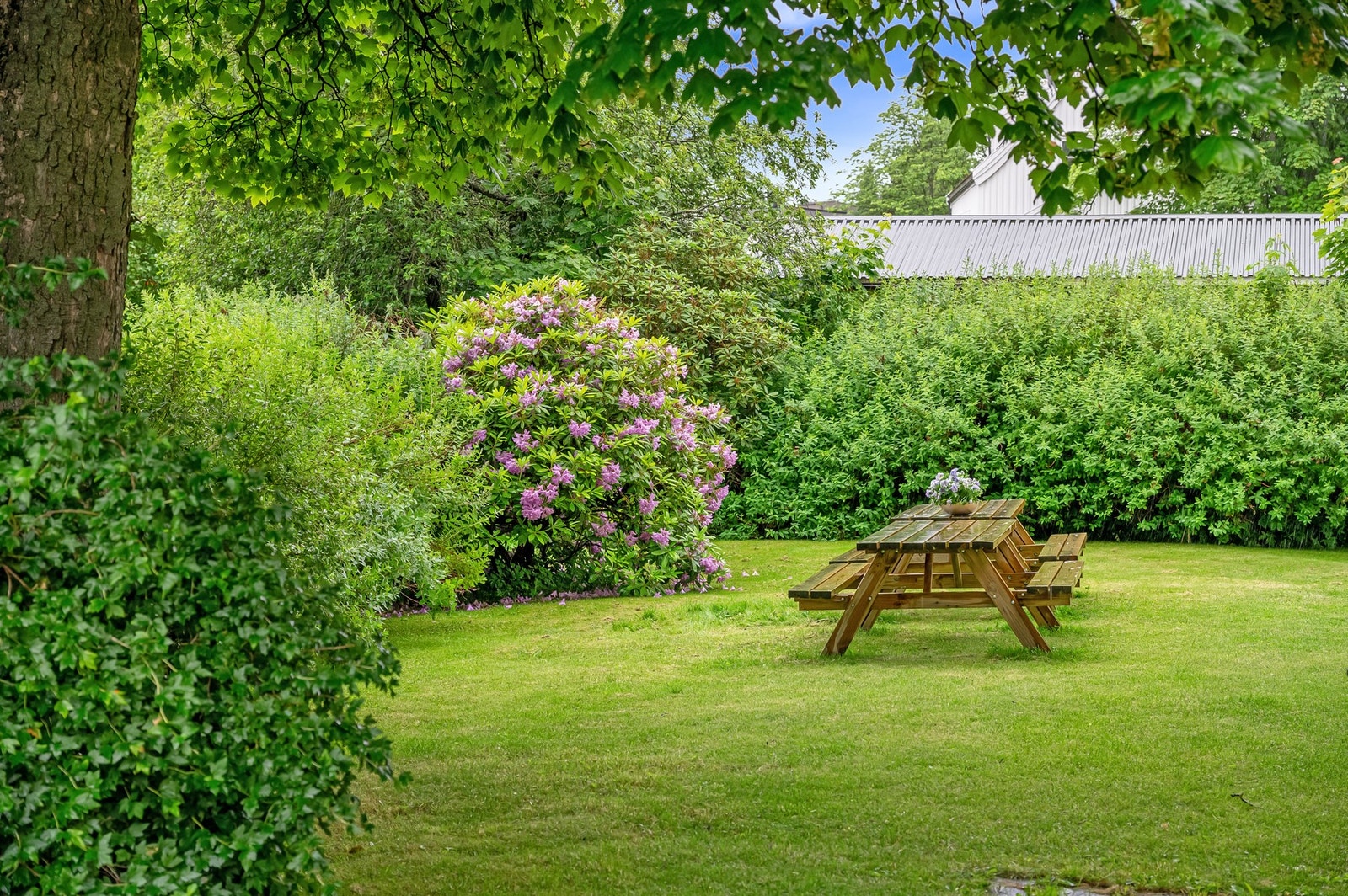 Velkommen til en hyggelig visning! Galleribilde