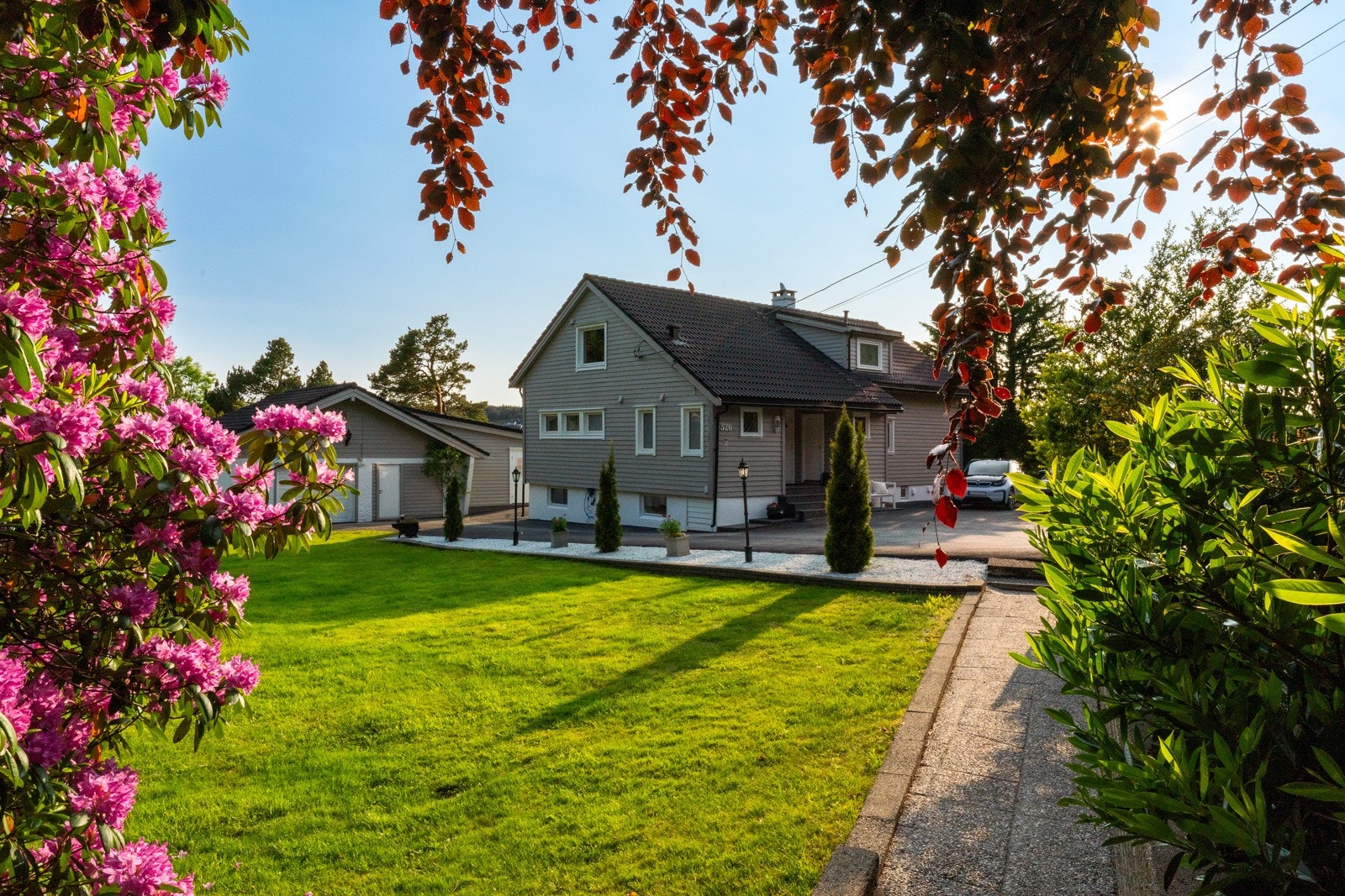 - Sjelden mulighet! - Galleribilde