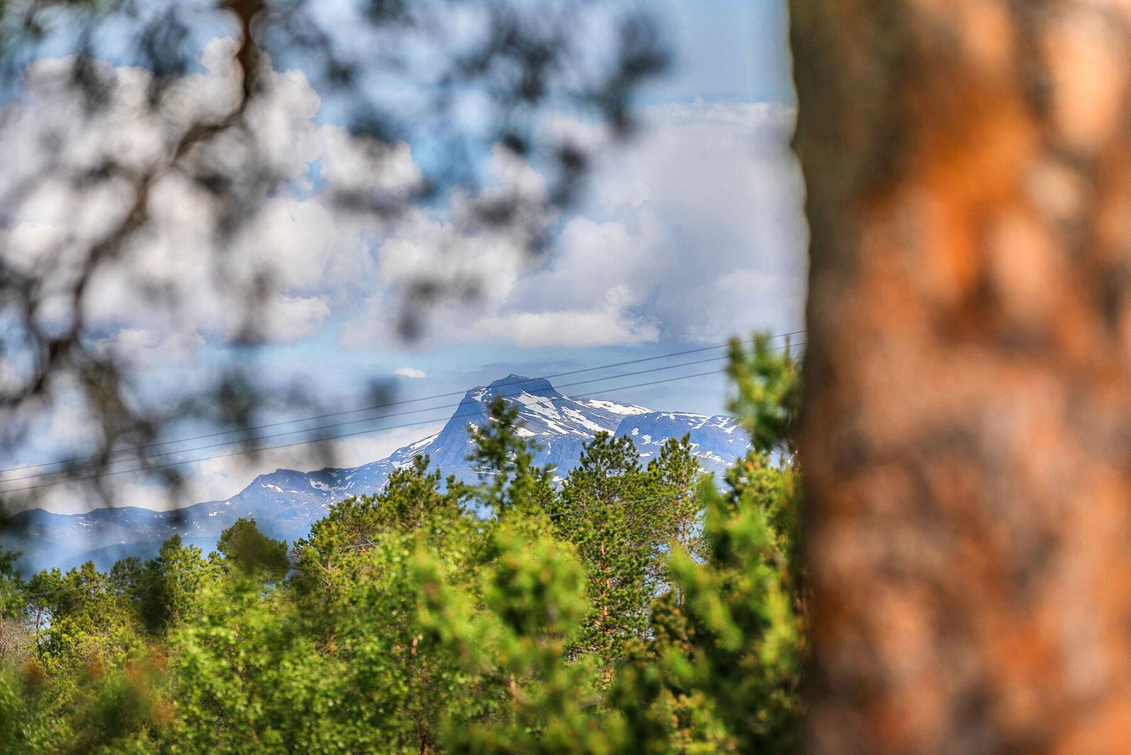 Utsikt terrasse Galleribilde