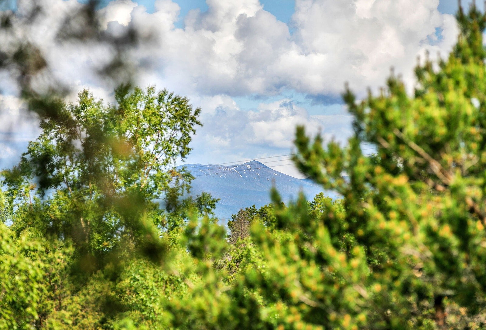 Utsikt terrasse Galleribilde
