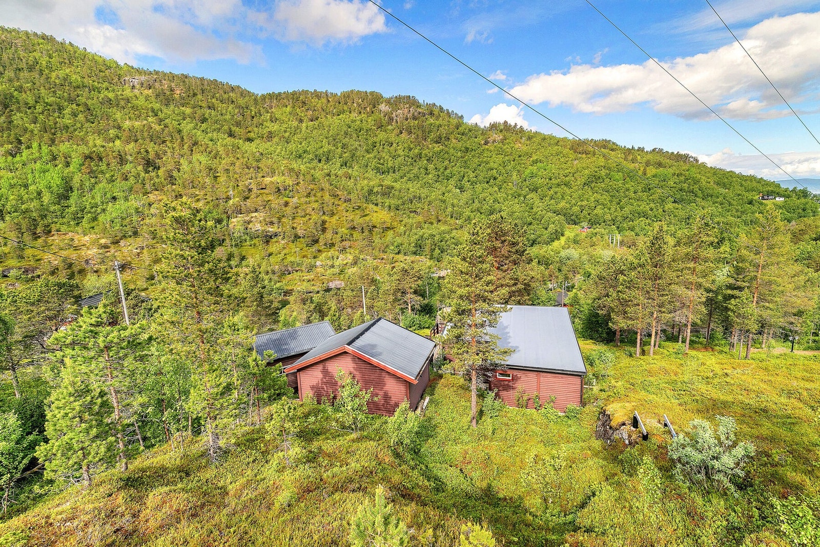Nærhet til skog og mark Galleribilde