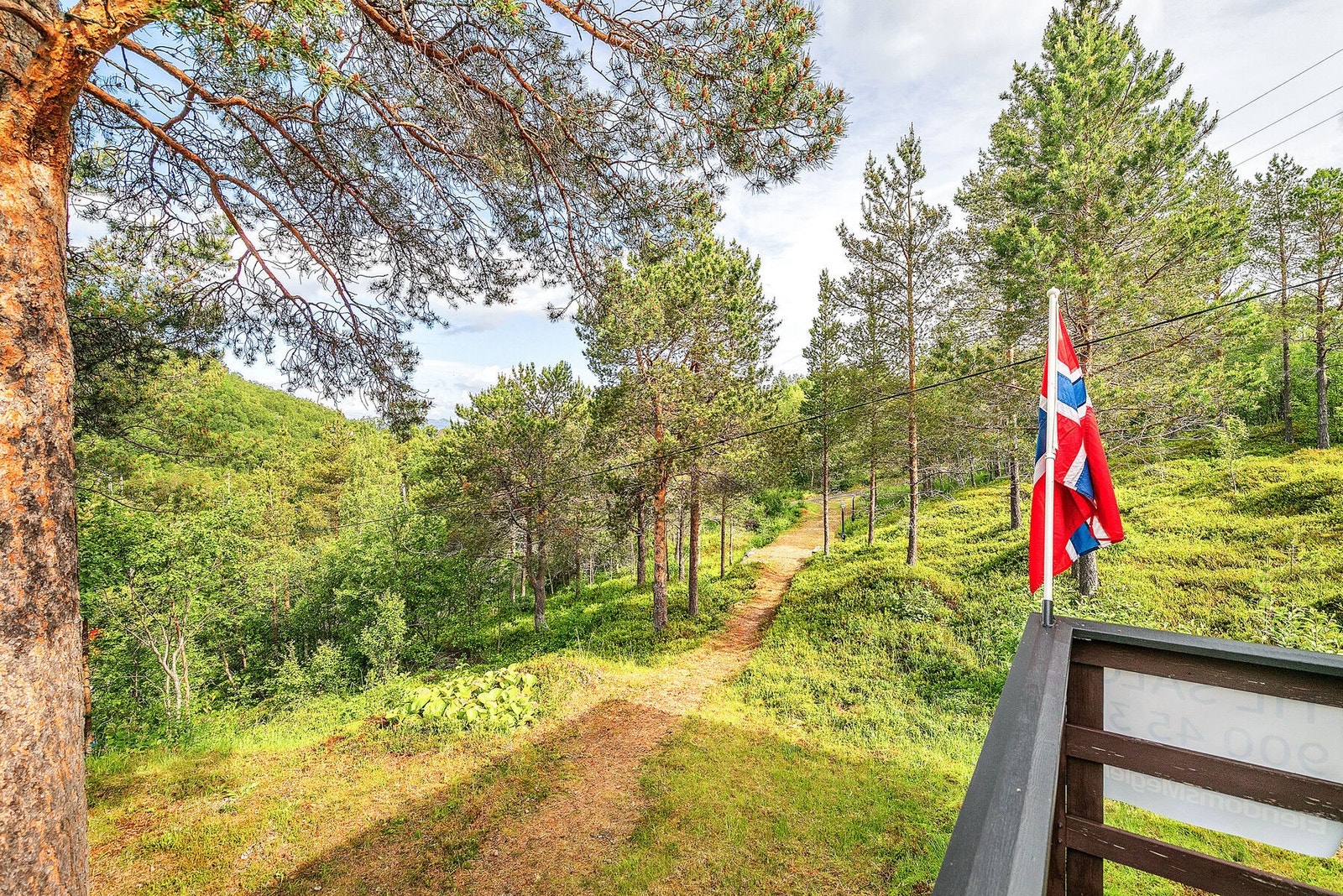 Adkomst Galleribilde