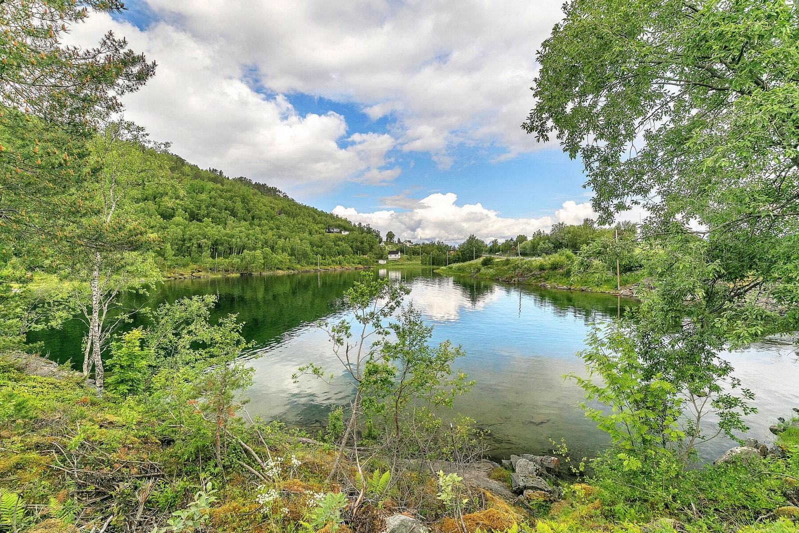 Idyll ved Rånaelva Galleribilde