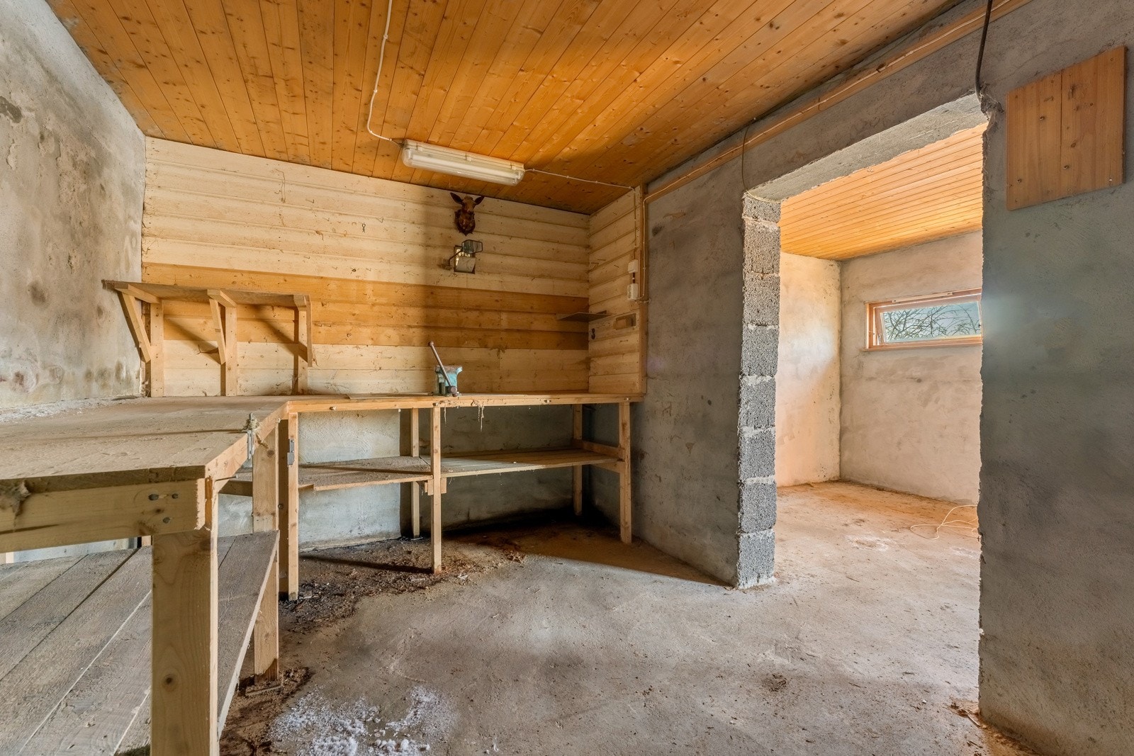 kjellerrom Galleribilde