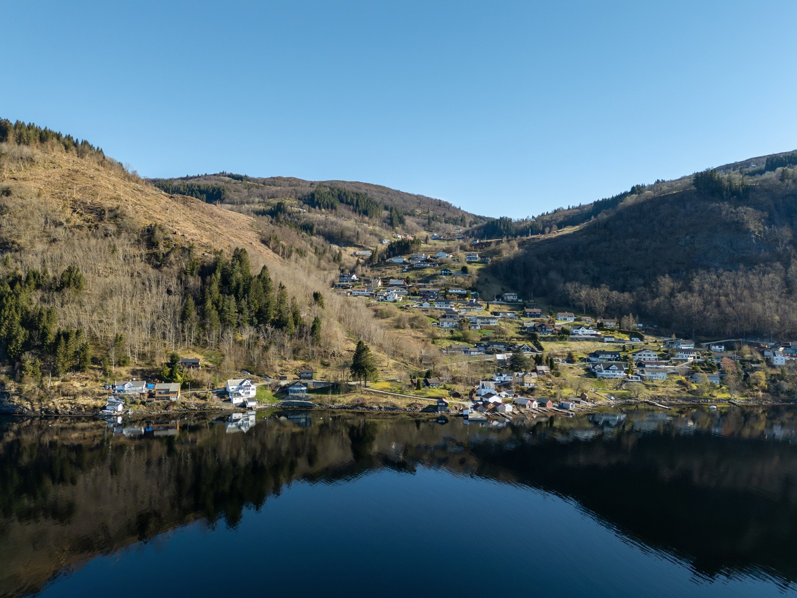 Nærområde med Votlo Galleribilde