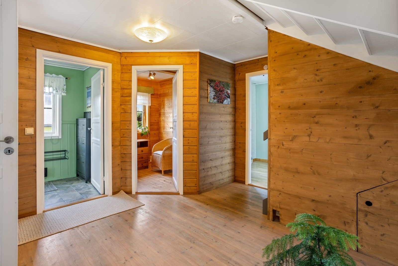 Stor gang. Galleribilde