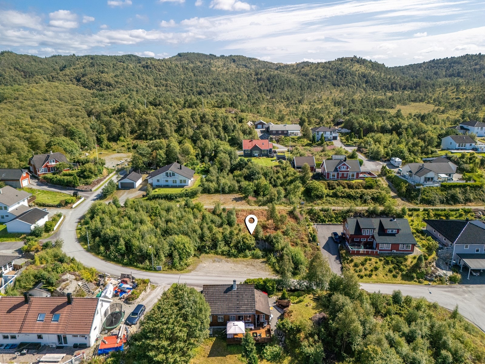 Fantastiske turområder/skog i bakkant Galleribilde