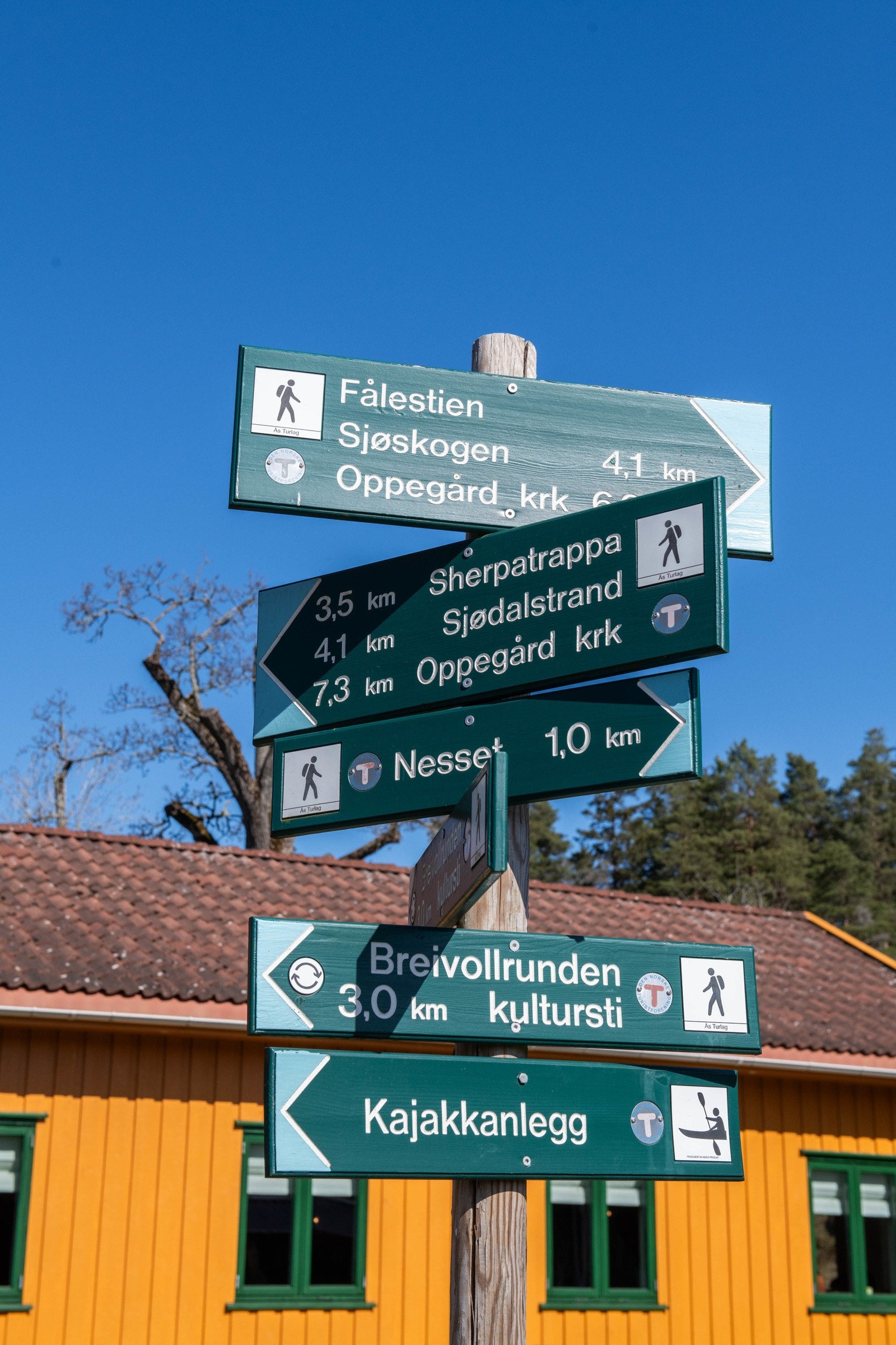 Breivoll med fine turmuligher Galleribilde
