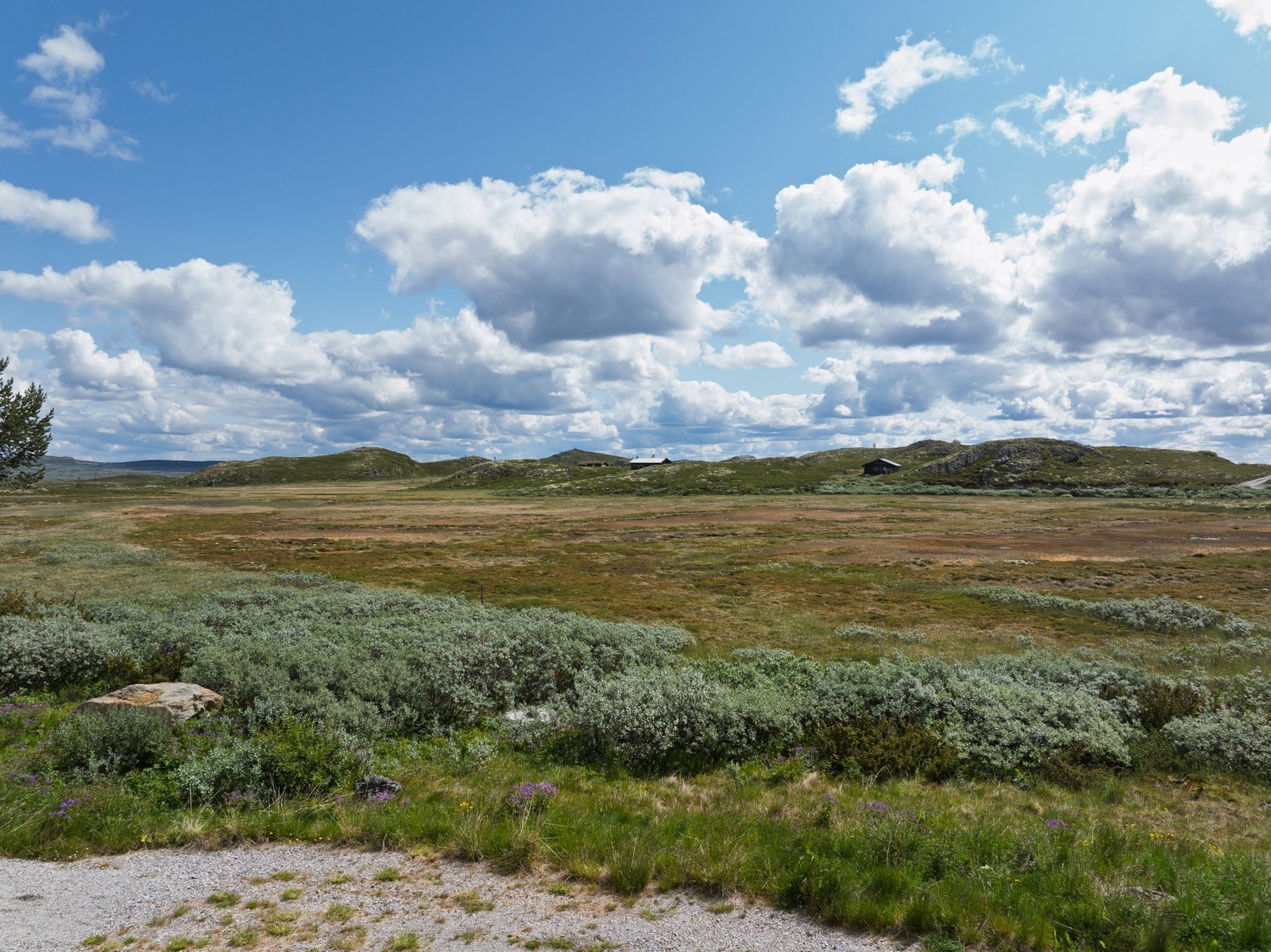 På sommerstid kan man velge mellom aktiviteter som gå- og sykkelturer, toppturer, fiske eller bading i fjellvann - her har du plass til å utfolde deg! Galleribilde