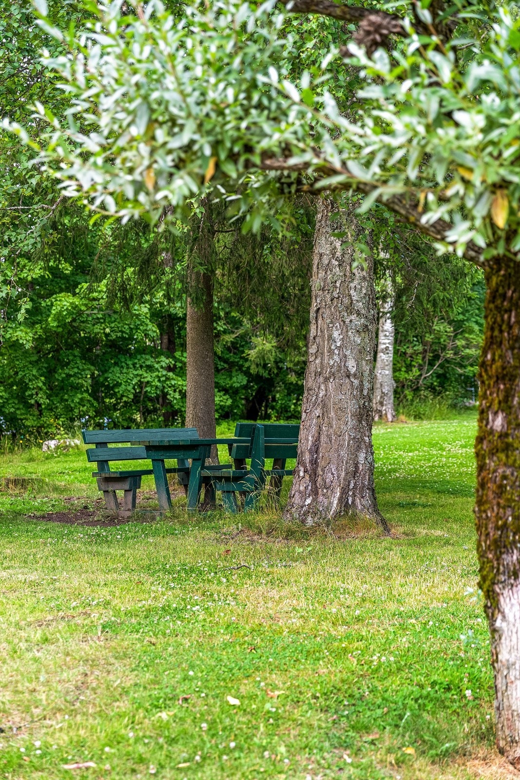 Bøler er populært for folk i alle aldre. Her har man gode fritidsmuligheter i nærområdet med fritidsklubb, svømmehall, treningssenter, bibliotek, treningsfelt for fotball, tennis og friidrett og skøytebaner på vinteren. Galleribilde