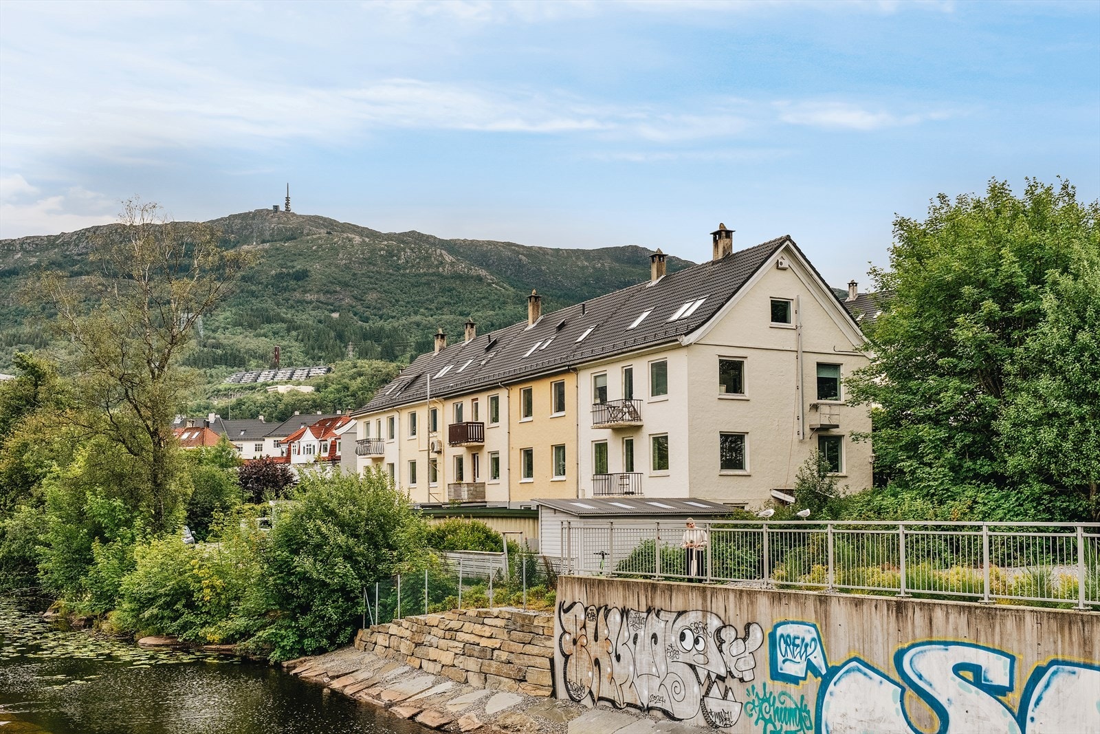Boligens fasade. Galleribilde