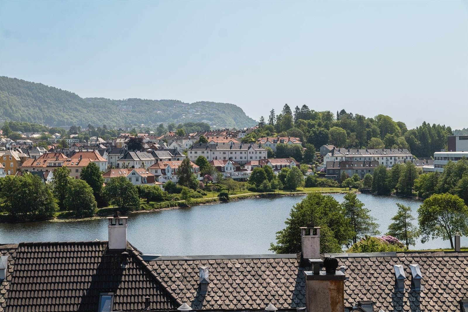 - Galleribilde