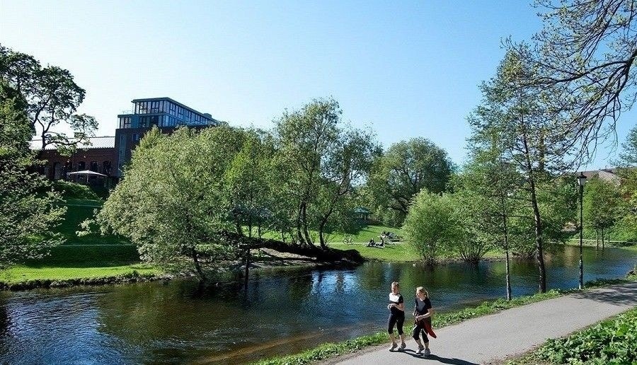 Nærområde Galleribilde