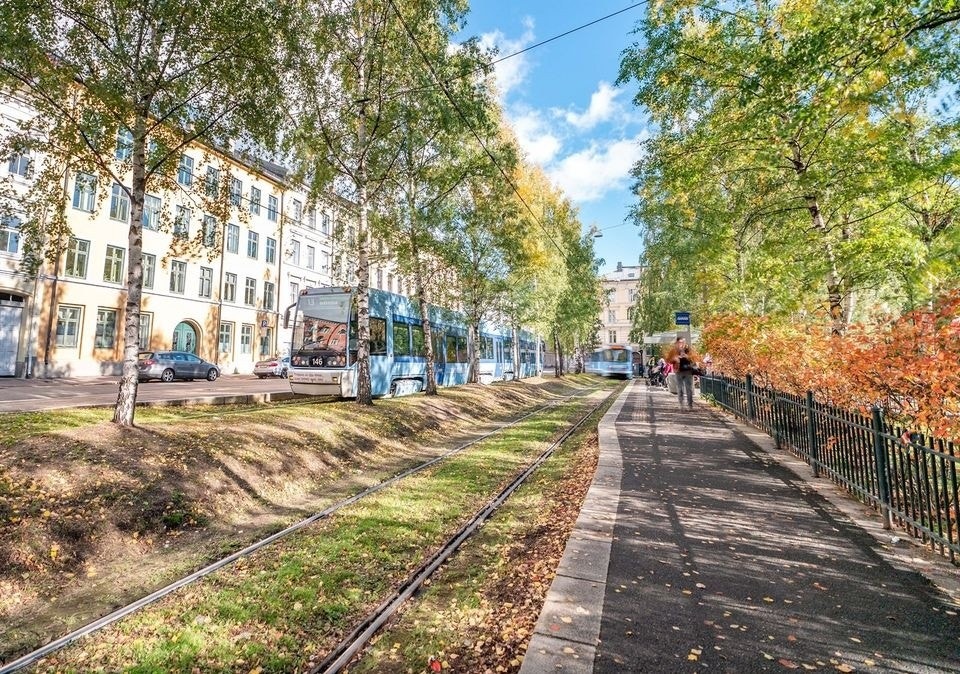 Nærområde Galleribilde