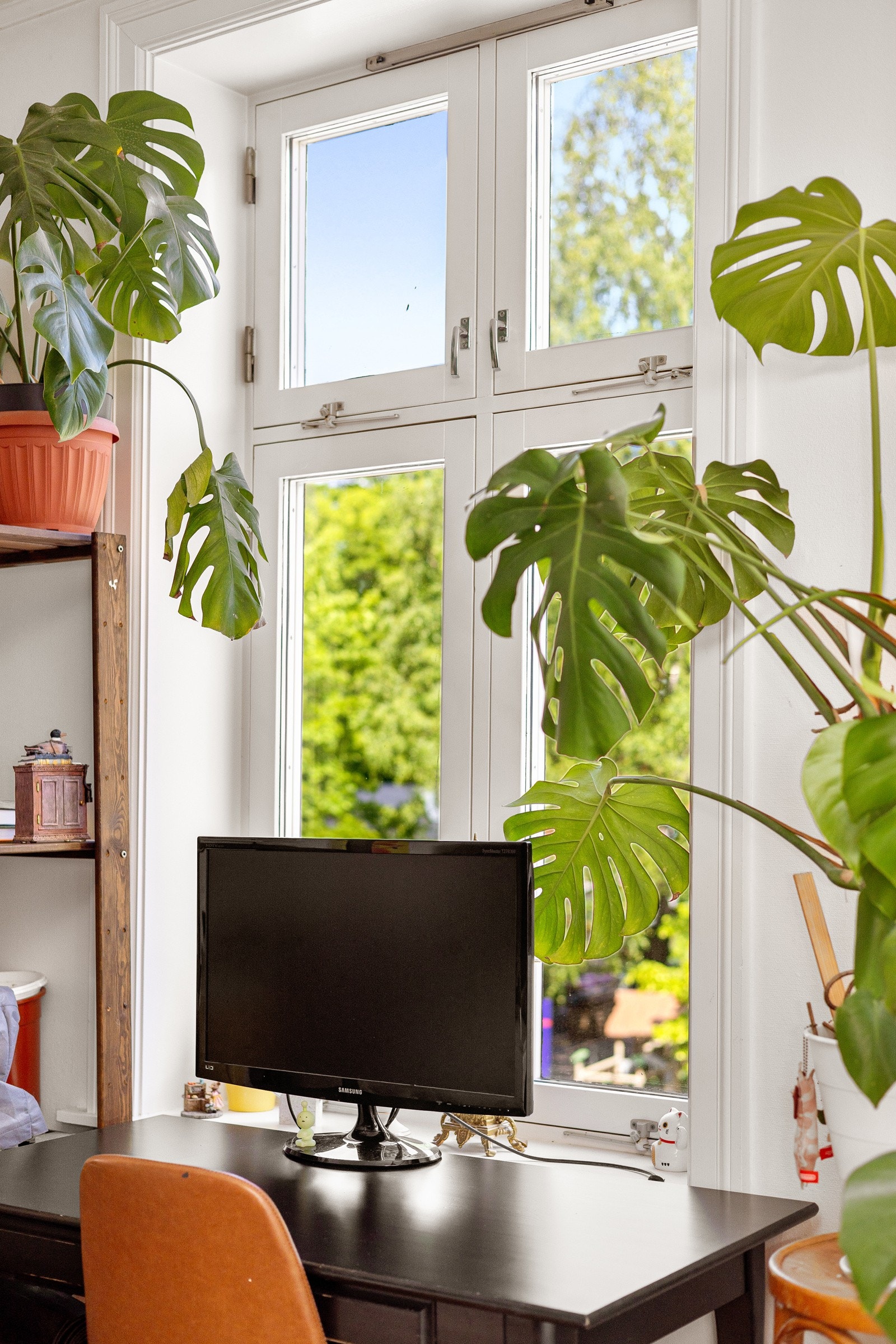 Alle vinduene i leiligheten har fine brede vinduskarmer for planter og dekor. Galleribilde