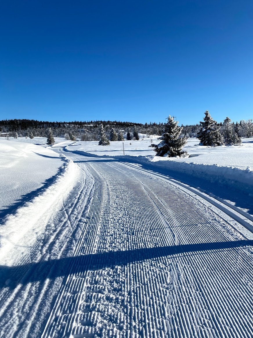 Langrennsløype 200 meter fra hytta Galleribilde