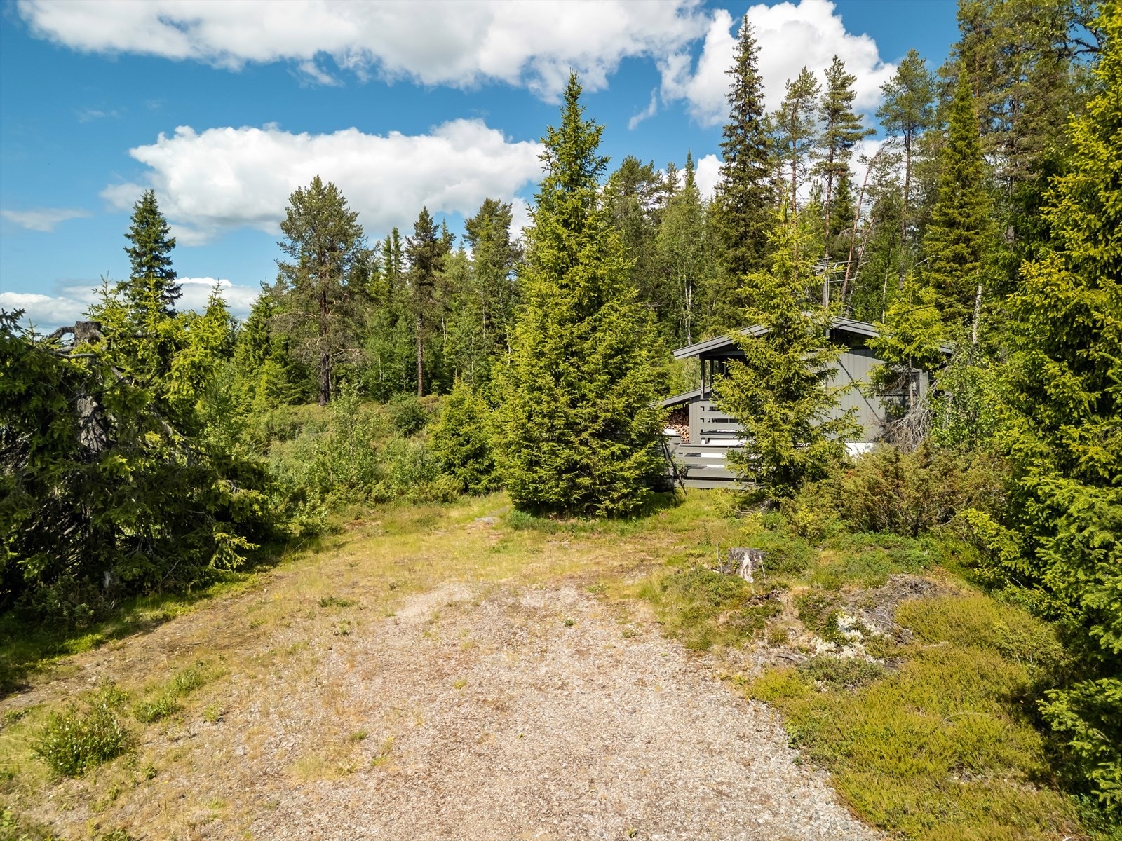 Det er god plass til parkering ved hytta. Galleribilde