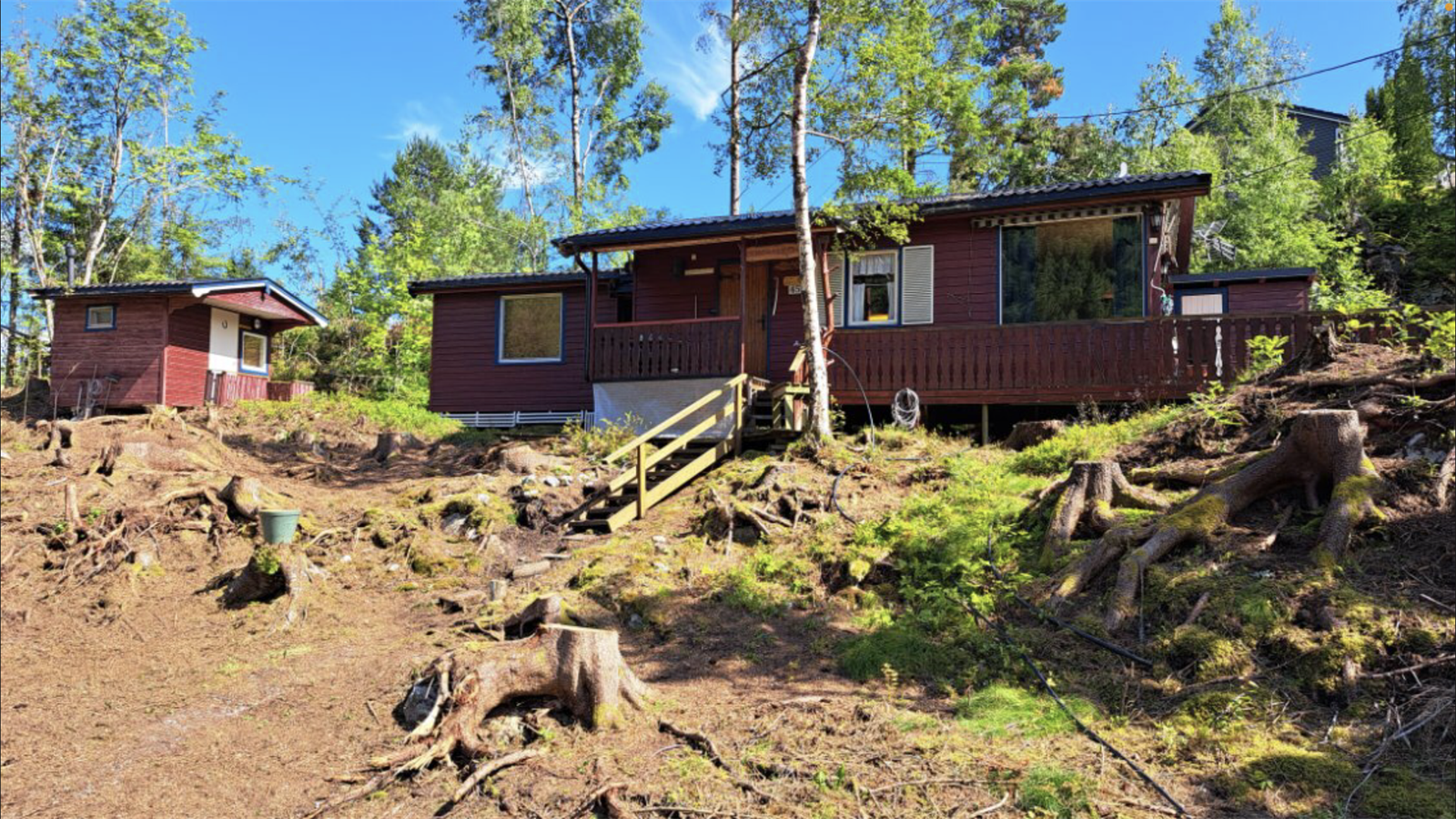 Store deler av skogen rundt hytta falt under stormen i vinter. Galleribilde