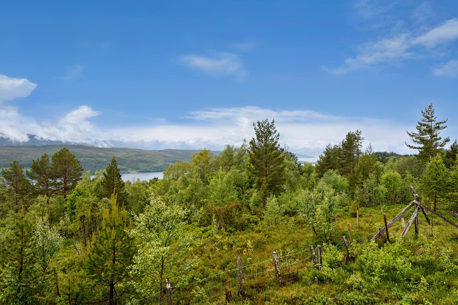 Utsikt mot vest fra veranda Galleribilde