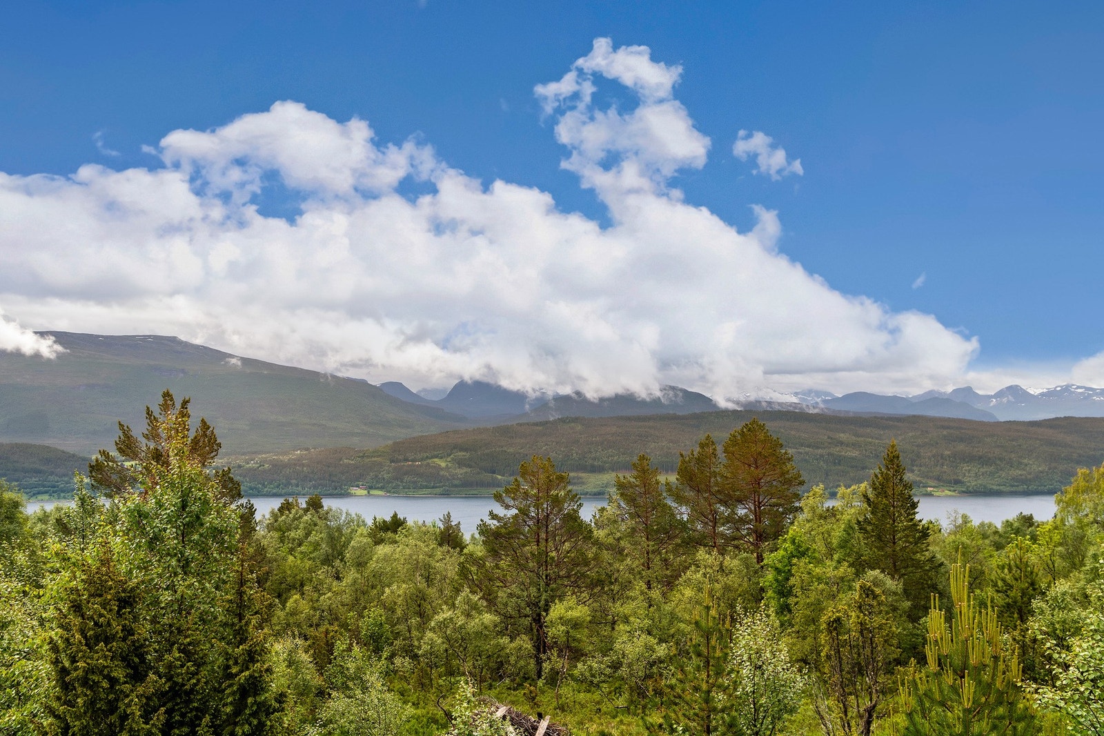 Utsikt fra veranda Galleribilde