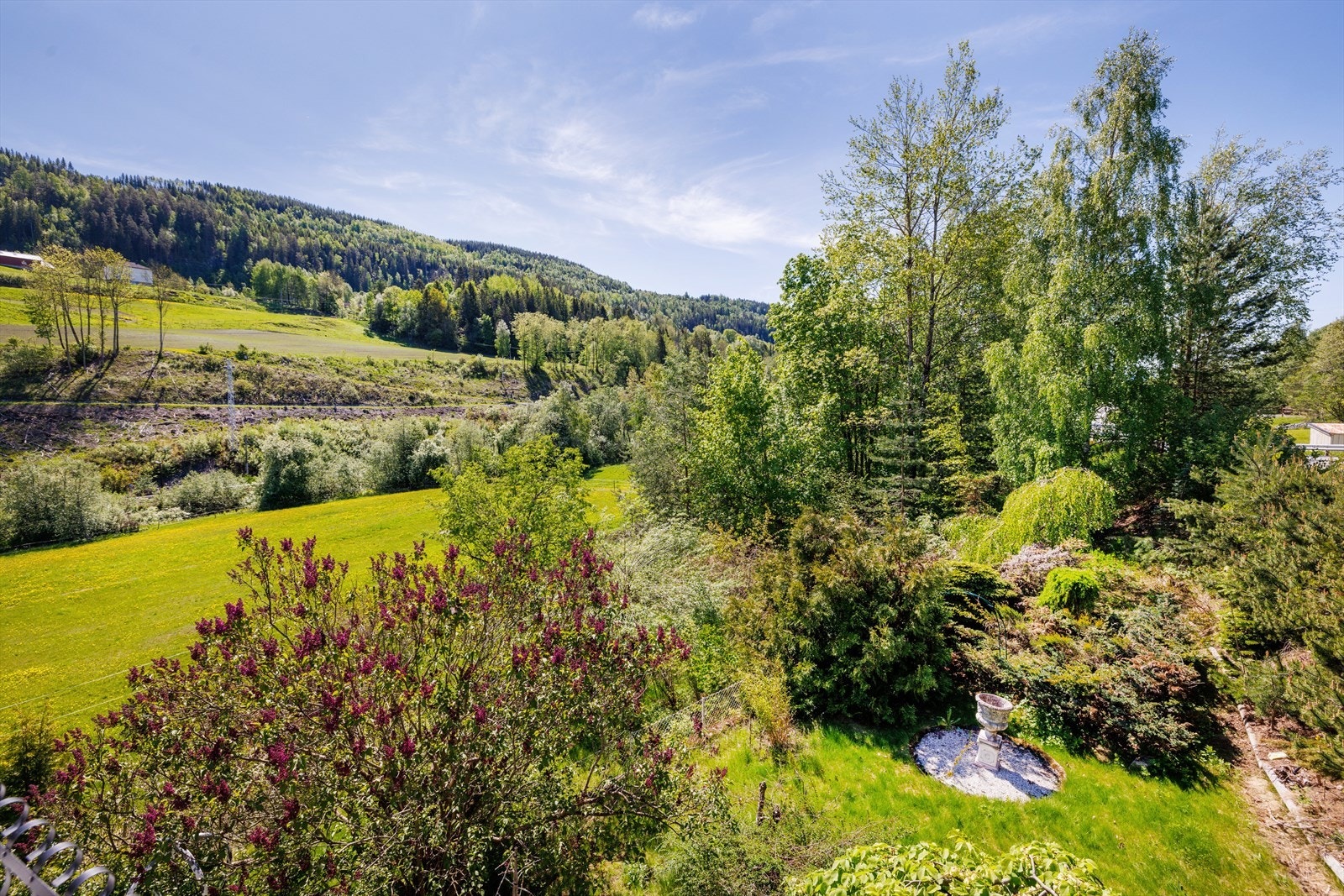 Uteområde Galleribilde