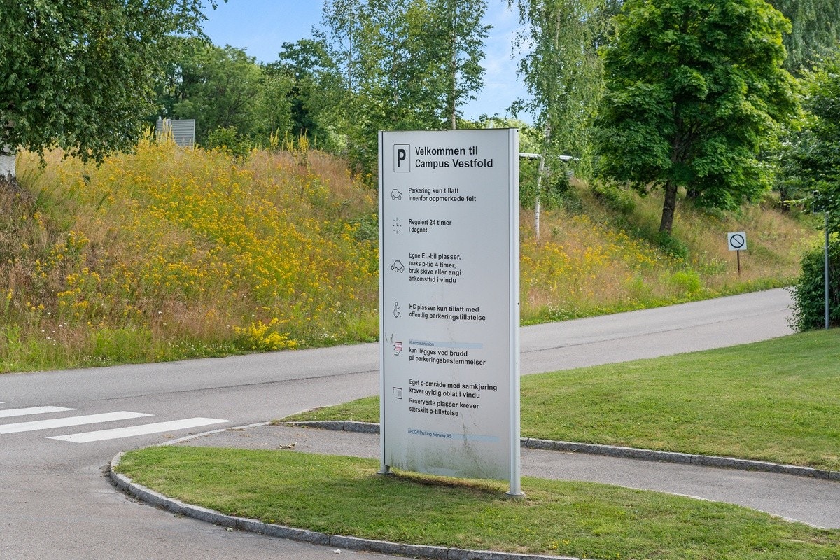 Det er kort avstand til skole Galleribilde